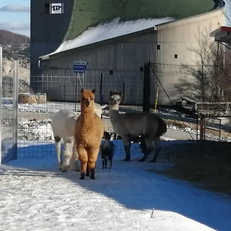 Daire Tra Sogni E Realta Roccaraso