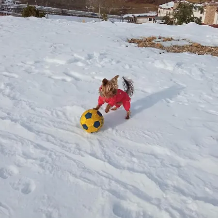 Tra Sogni E Realta Daire Roccaraso