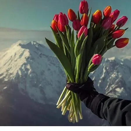 Tra Sogni E Realta Apartman Roccaraso