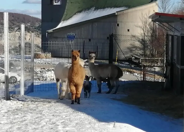 Daire Tra Sogni E Realta Roccaraso