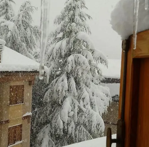 Daire Tra Sogni E Realta