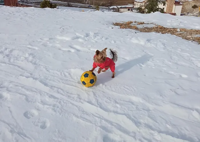 Tra Sogni E Realta Apartment Roccaraso