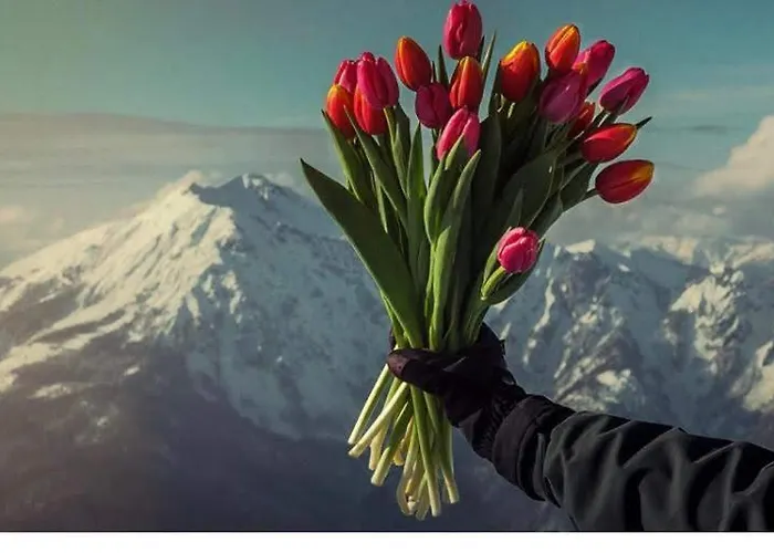 Tra Sogni E Realta Daire Roccaraso